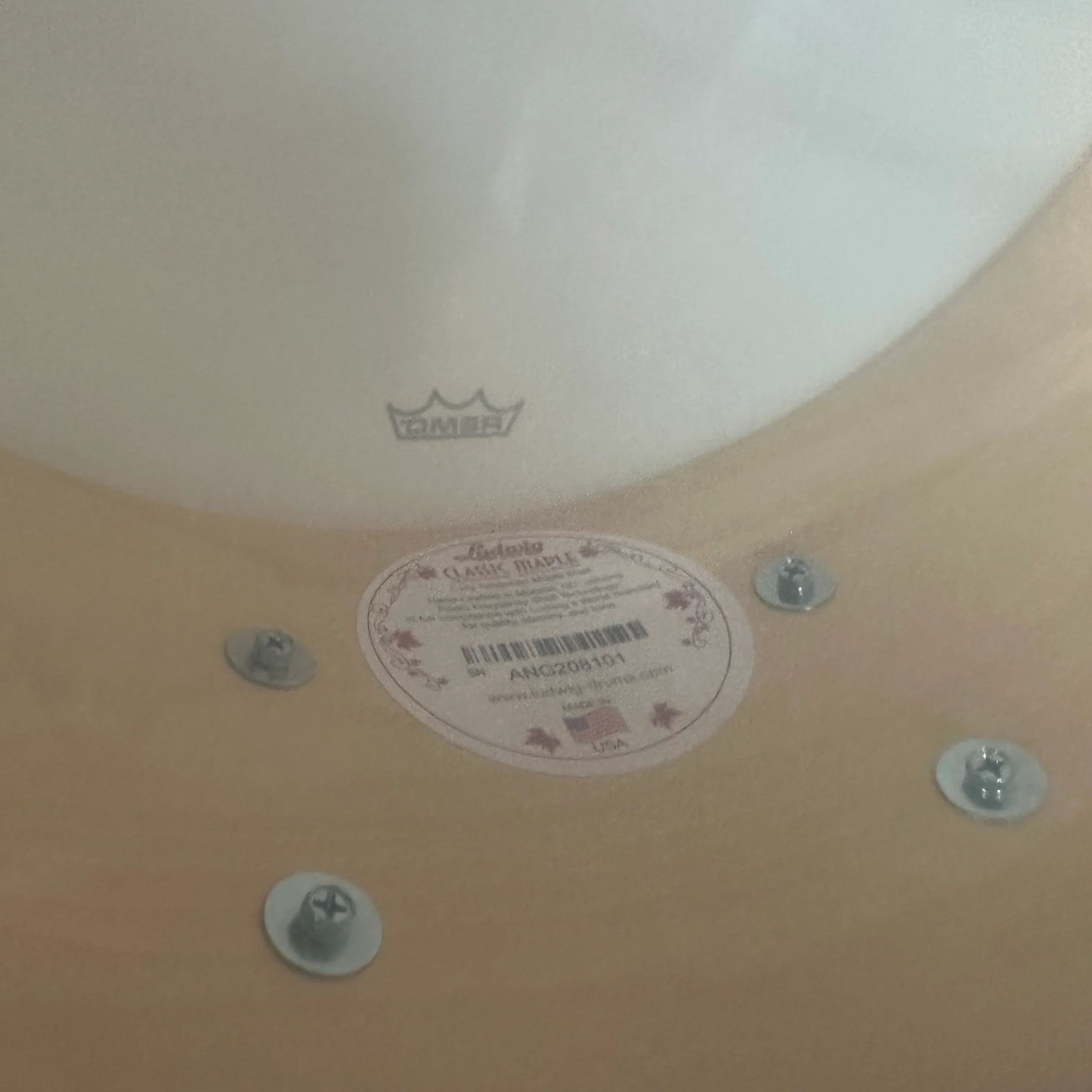 Ludwig Classic Maple Concert 14x6.5" Snare Drum  #1187 - Image 3