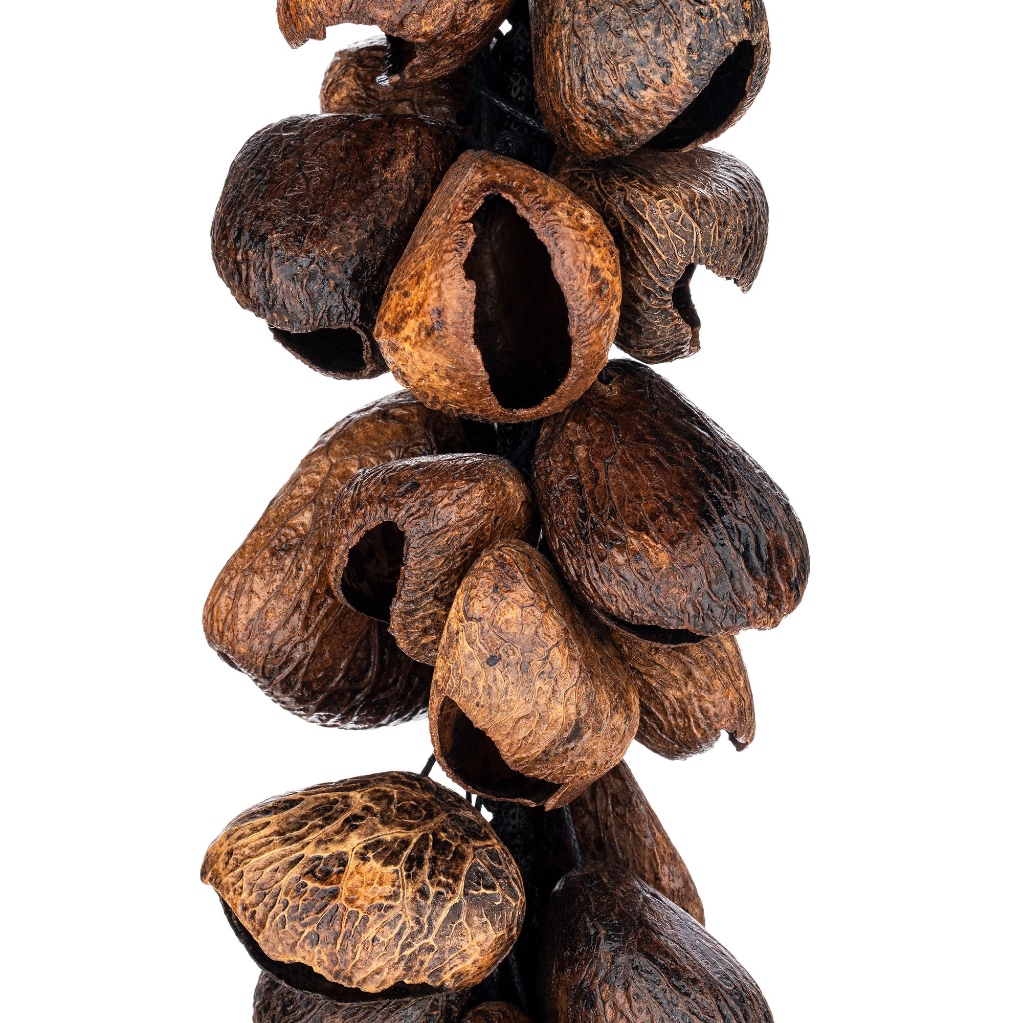 Meinl Percussion Pangi Waterfall Shaker, 40 Seeds - Image 2